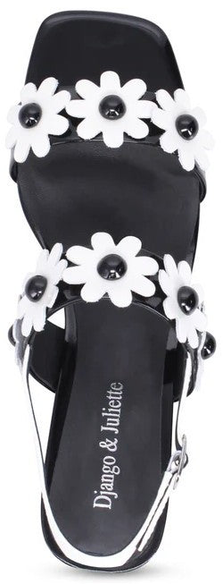 HATSYL DJ21296