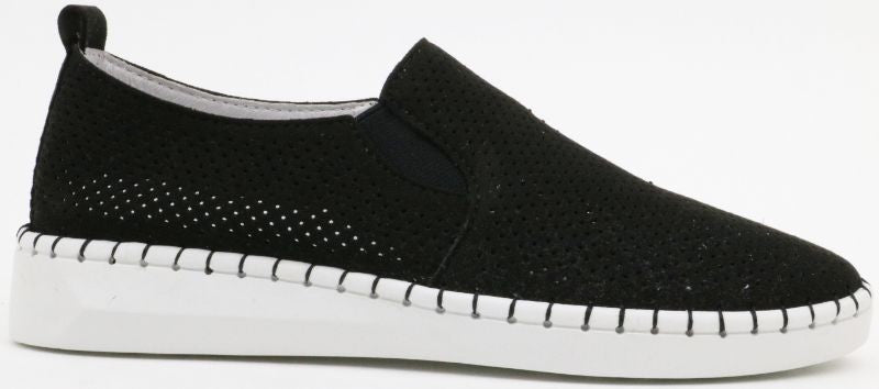 8/0/1/7/8/5/6/8017856