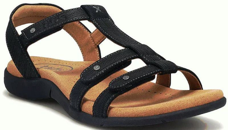 8/0/2/6/6/5/0/8026650