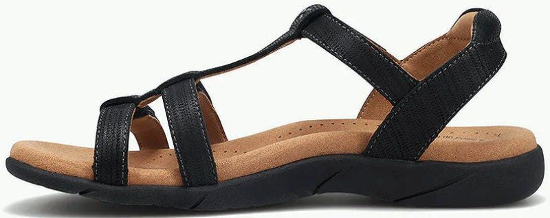 8/0/2/6/6/5/2/8026652