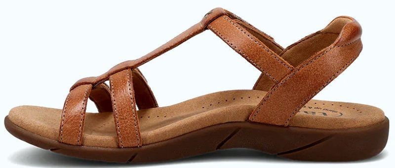 8/0/2/6/6/5/6/8026656