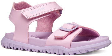 8/6/4/7/2/3/7/8647237
