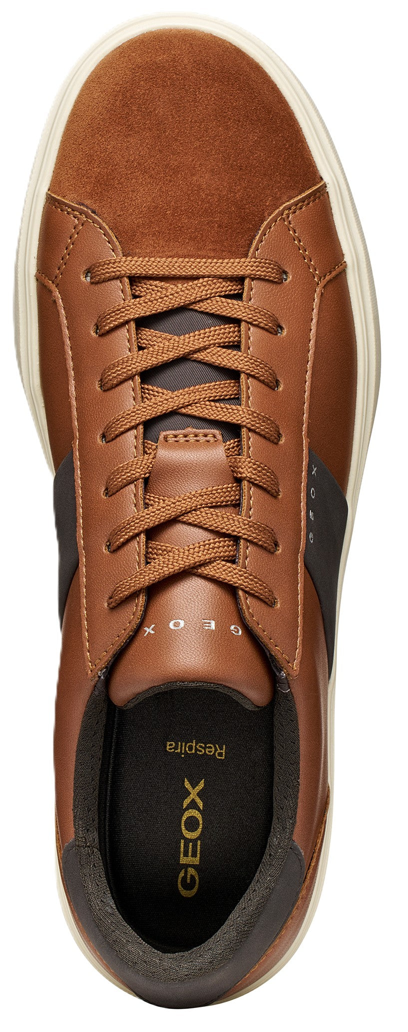 BALTMOORE U66LDB